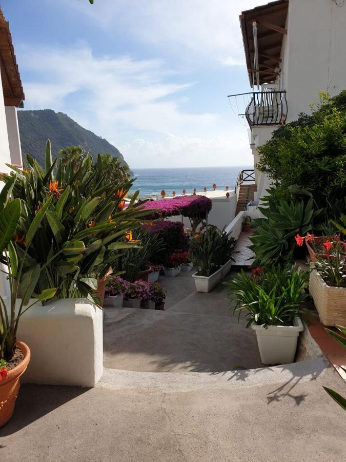 Villa Loreta Forio di Ischia المظهر الخارجي الصورة