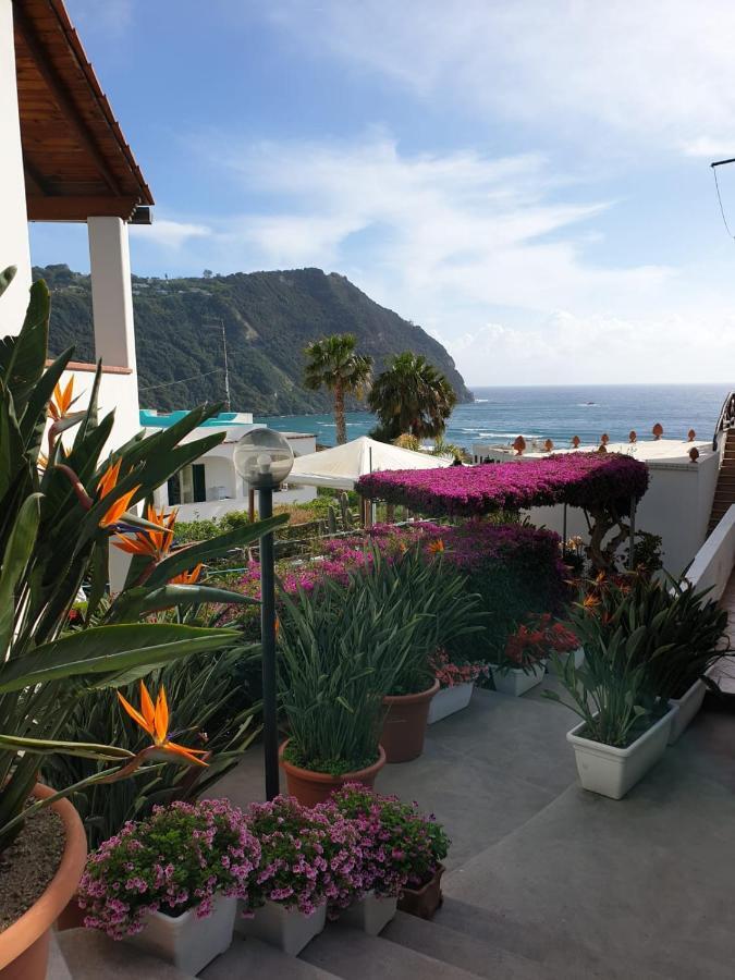 Villa Loreta Forio di Ischia المظهر الخارجي الصورة